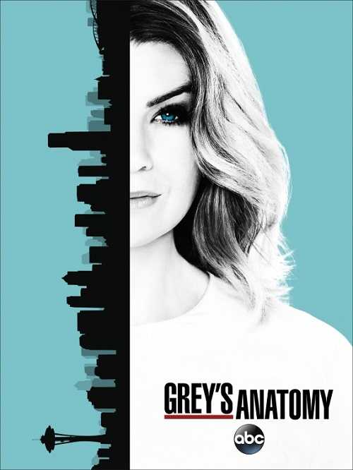 مسلسل Greys Anatomy الموسم 13 الحلقة 15