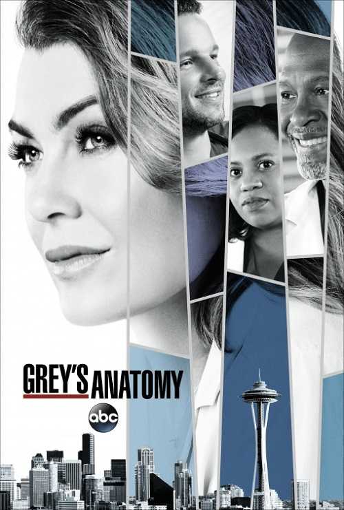 مسلسل Greys Anatomy الموسم 14 الحلقة 10