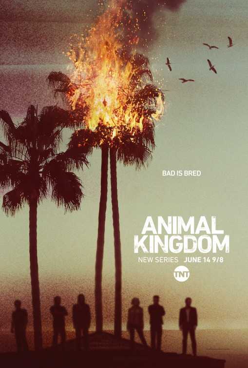 مسلسل Animal Kingdom الموسم الاول منترجم كامل