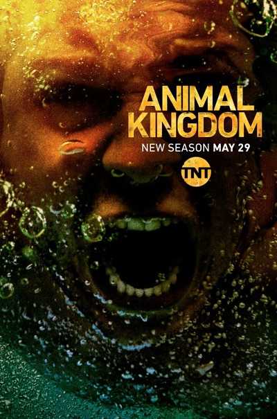 مسلسل Animal Kingdom الموسم الثالث منترجم كامل