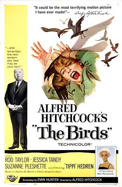 مشاهدة فيلم The Birds 1963 مترجم