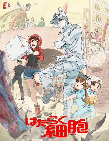 انمي Cells at Work الحلقة 8 مترجمة