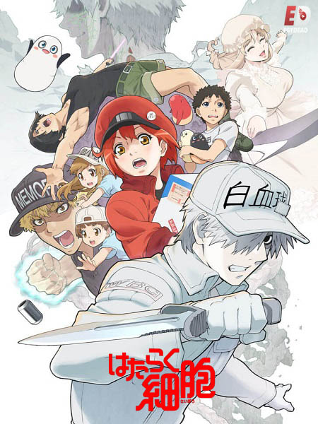 انمي Cells at Work الموسم الثاني الحلقة 1 مترجمة