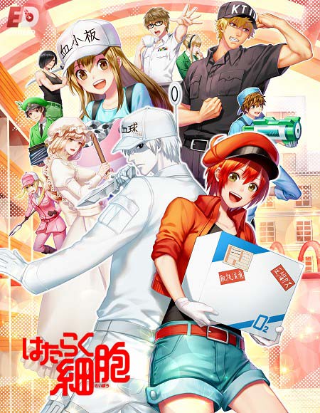 انمي Hataraku Saibou مترجم كامل