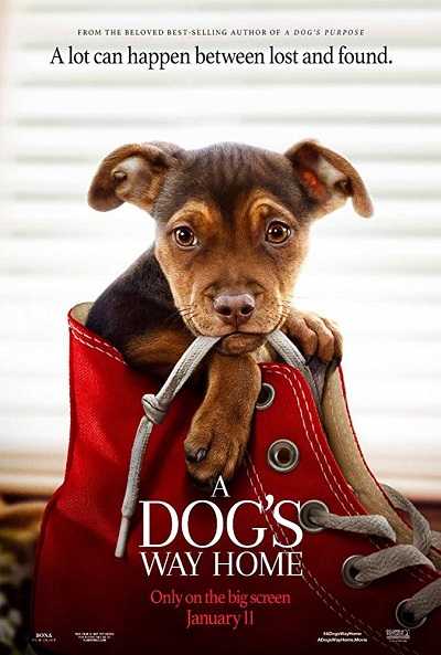 فيلم A Dog’s Way Home 2019 BluRay مترجم