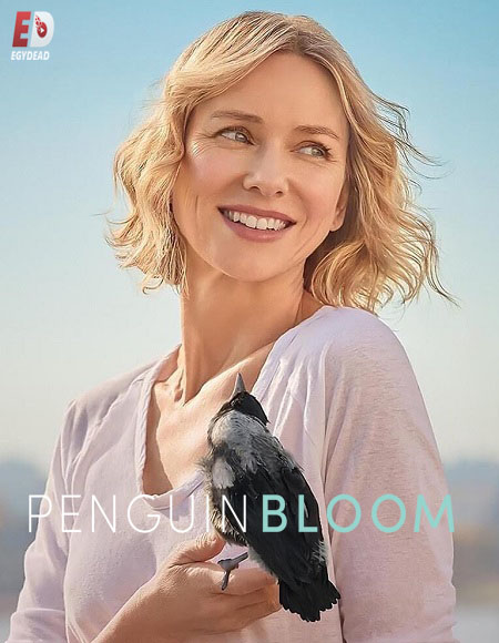 مشاهدة فيلم Penguin Bloom 2020 مترجم