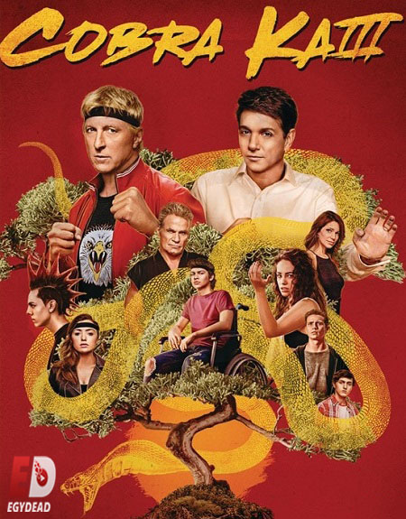 مسلسل Cobra Kai الموسم الثالث مترجم كامل