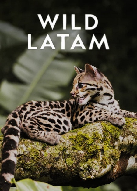 مسلسل Wild Latam الموسم الاول الحلقة 1 مترجمة