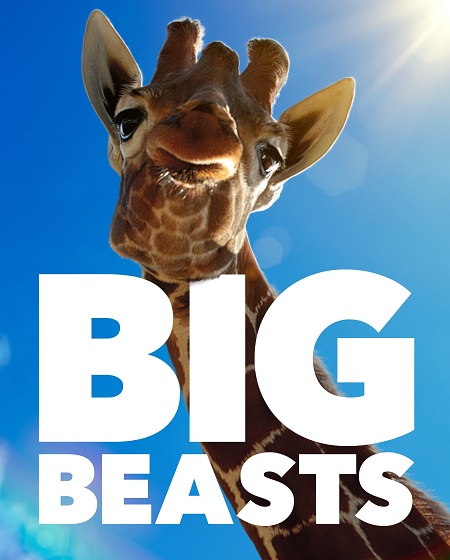 مسلسل Big Beasts الموسم الاول الحلقة 1 مترجمة