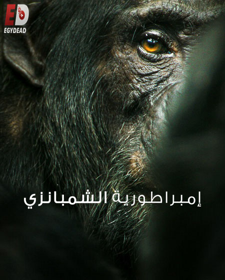 مسلسل Chimp Empire الحلقة 4 مترجمة