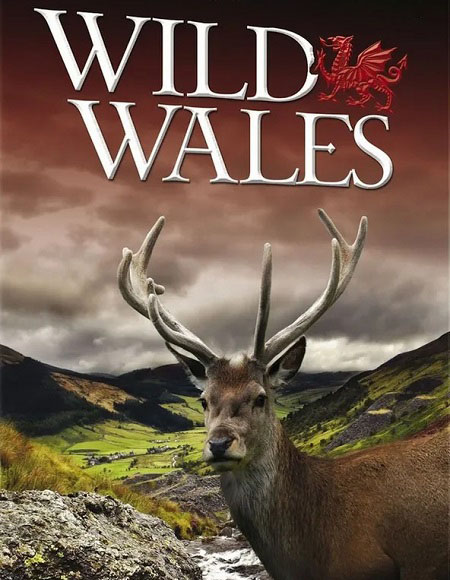 مسلسل Wild Wales الحلقة 3 مترجمة