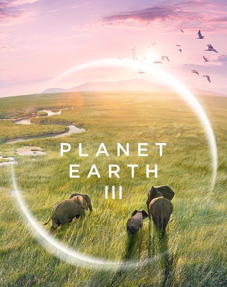 مسلسل Planet Earth الموسم الثالث الحلقة 5 مترجمة