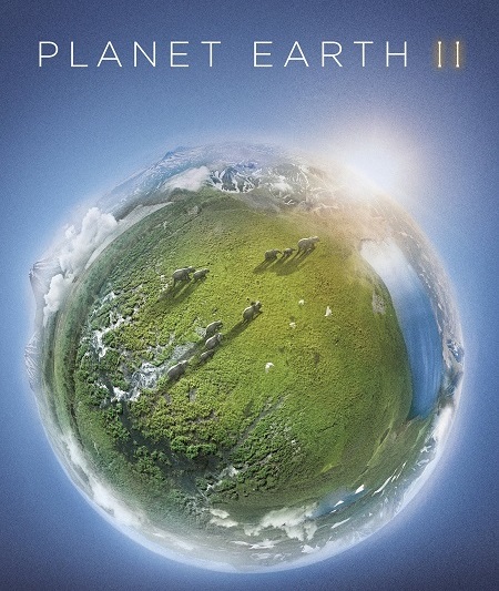 مسلسل Planet Earth الموسم الثاني الحلقة 4 مترجمة