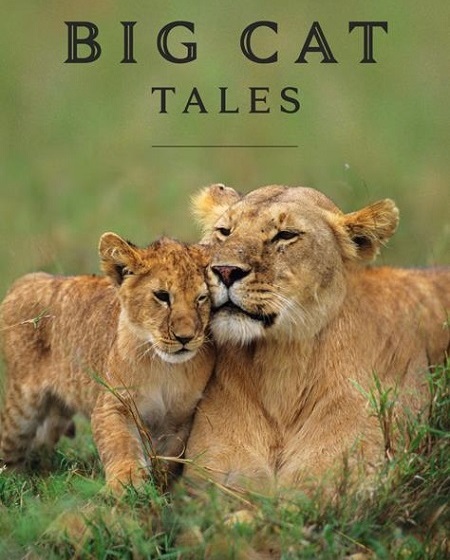 مسلسل Big Cat Tales الموسم الاول الحلقة 1 مترجمة